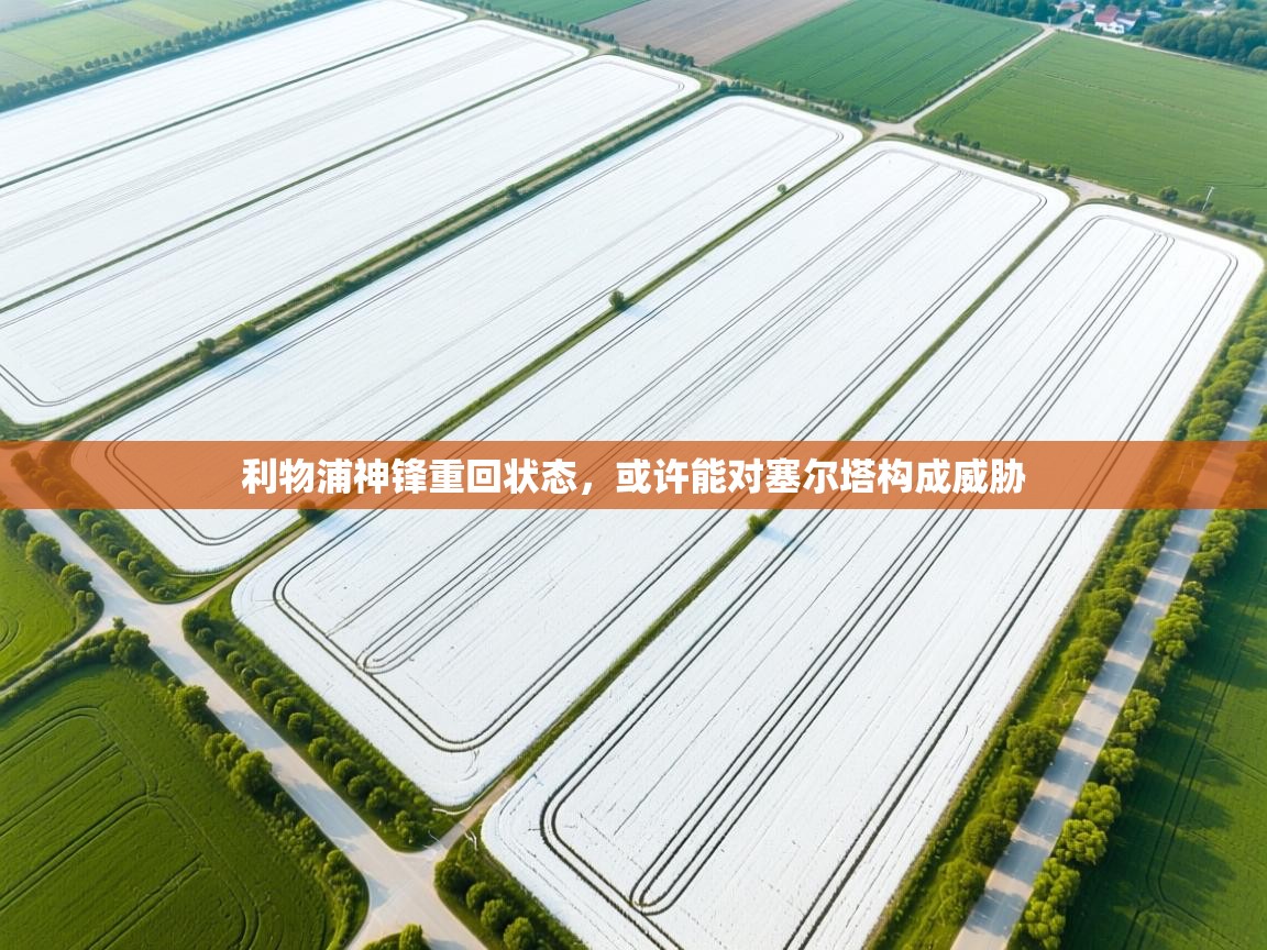 利物浦神锋重回状态，或许能对塞尔塔构成威胁  第2张